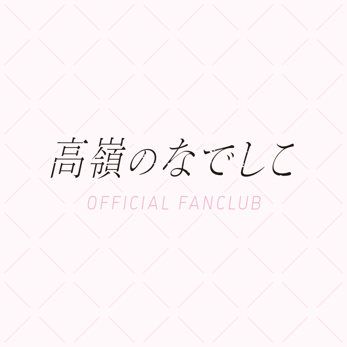 10/6 高嶺のなでしこ 2周年記念 Zepp TOUR 2024「瞬きさえ忘れる