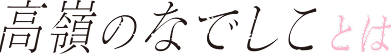 高嶺のなでしことは